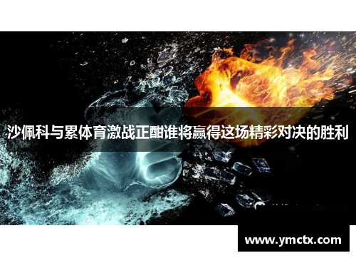 沙佩科与累体育激战正酣谁将赢得这场精彩对决的胜利