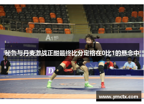 秘鲁与丹麦激战正酣最终比分定格在0比1的悬念中